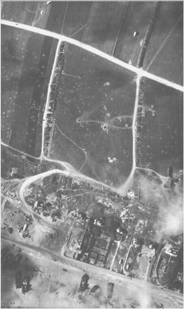 La haie de pins entre Dog White et Vierville, vue d’avion en août 1944.