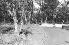 (details) The old road that bypassed the church from the south and west and was later abandoned to enlarge the cemetery: