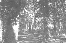 (Details) Das Schlossholz im September 1944, besetzt von amerikanischen Zelten, die zu sehen sind. (Details) Der Turm der Abtei 1945