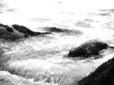 Document du fonds : Images des régiments de renforts et du Génie débarquant au Ruquet à partir de 10h00, à la pleine mer