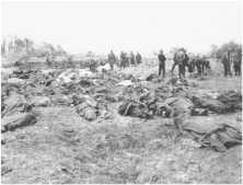 Le cimetière de Colleville en 1947, disposé suivant le dessin de l'été 44. Il a par la suite été remodelé complètement pour être remplacé par le cimetière définitif actue