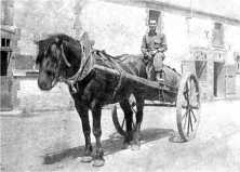 Joe Bossi auf dem Pferd "Napoleon" der Ygouf Farm, Inseln