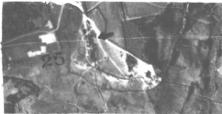 (détails) Le Ruquet , 30 juin 1943 (détails) En haut à droite, Le Ruquet, photo prise début 1943, avant la construction des principales défenses et du fossé antichar WN64