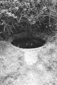 50 mm Mörtelposition
