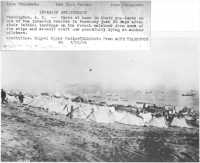 Sammlungsdokument: Die Engineer Special Brigades am Omaha Beach