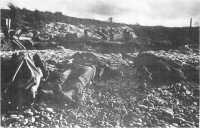 (details) Deaths on the pebbles