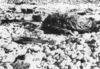 (details) Deaths on the pebbles