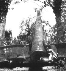 (details) The cannons of the peak of the Hoc, camoulflé in the hedges (again against)