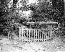 (details) The cannons of the peak of the Hoc, camoulflé in the hedges (again against)