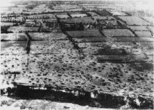 (details) 1944, after the bombings