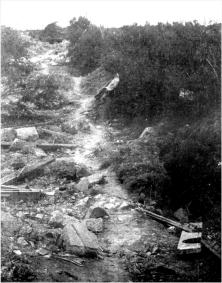 (details) debris after the battle