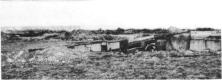 (details) (February 44) The guns before their displacement by the Germans, following the bombardments (details)