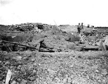 (details) (details) A wooden cannon for use as lure, in an unprotected position