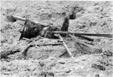 (details) (details) A wooden cannon for use as lure, in an unprotected position