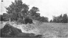 (details) Orchard where cannons were found (details)
