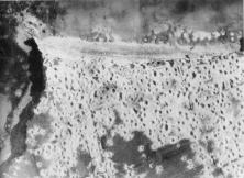 (details) February 1944, the battery before the bombings of April and May (details)