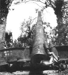 (details) The cannons of the peak of the Hoc, camoulflé in the hedges (again against)