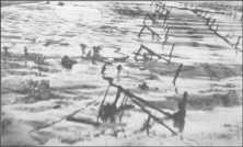 (Details) Deutsche bei der Arbeit überrascht von Flugzeugen (um den 19. Mai 44)