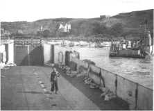 (détails) Un LCT s'approche de la villa Chevalier à droite une barge des CB (Seabees) (détails)
