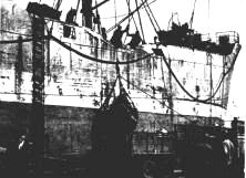 Collection document: Shore operations of the Engineer Special Brigades and 11th Port