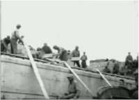 Collection document: Shore operations of the Engineer Special Brigades and 11th Port