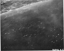 Aerial view from 8 June to the evening or 9 June morning (details)